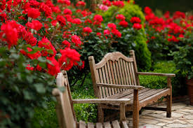 Energize Your Garden With Red Flowers