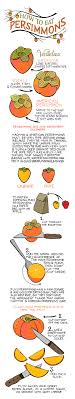 Fall Fruit Illustrated Bites