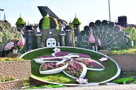 dubai miracle garden opens for season 11