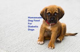 homemade dog food for diabetic dogs