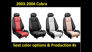 2003 2004 cobra terminator seat color