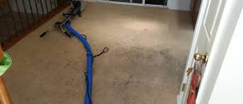 see the difference payneless floor care
