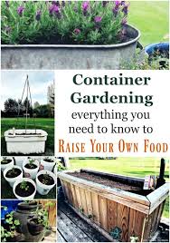 Container Gardening For Vegetables