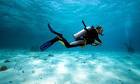 Scuba diving certification sacramento