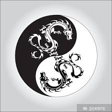 white dragon in yin yang symbol pixers hk