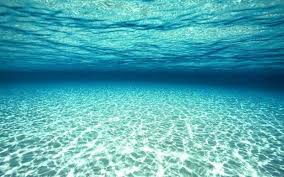 Underwater Wallpaper Ocean Underwater