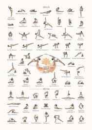 hand drawn poster of hatha yoga poses