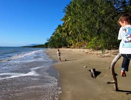 port douglas with kids things to do