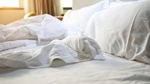 cleaning bedding and mattresses vanish