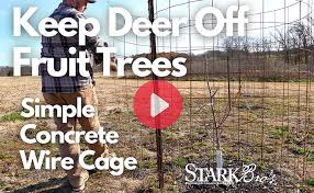 Keeping Deer Off Your Fruit Trees