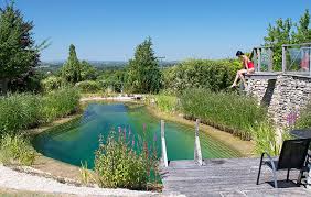 Do solar pool flowers work. Natural Swimming Pools Everything You Need To Know About Building One In Your Garden Country Life