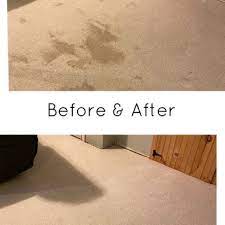hometown carpet cleaning 48 photos