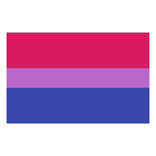 To upload the bisexual_pride_flag emoji to your discord server follow these simple steps. Bisexual Flag Icon Lade Png Und Vektor Kostenlos Herunter