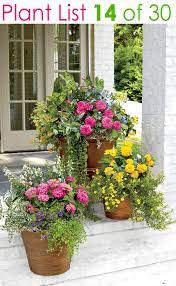 Flower Gardening With 30 Plant Lists