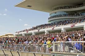 Arlington International Racecourse Toba Owners Concierge