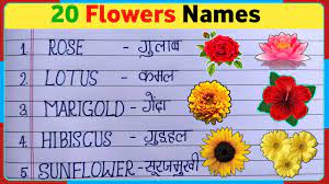 20 flowers name in hindi and english