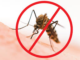 6 วิธีกันยุงในบ้านและนอกบ้าน | SCG HOME | ปรึกษาเรื่องบ้านและให้บริการสินค้า SCG พร้อมงานติดตั้งแบบมืออาชีพ