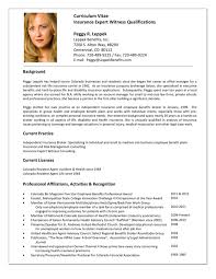 Sample Cv Expert Witness   Resume Writer Usa Sample Resume  Sle Resume For Medical School Interview 