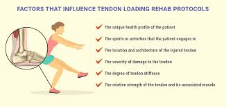 isometric exercises can reduce tendon pain