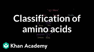 Tap card to see the definition. Classification Of Amino Acids Video Khan Academy
