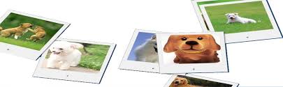 desktop dog screensaver 1 4 4 free