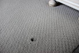 carpet repair denver don t replace it