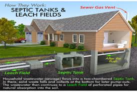 In moderation, a properly working septic tank can handle some biodegradable detergents, laundry soaps, kitchen wastes and biodegradable. Buying A Home With Septic Tank Sam Conveveyancing