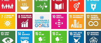 Our contribution to sdg 8: Sdgs And Supply Chain Sustainability At Aldi North
