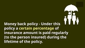 The life of an individual is important not only to himself, but other many people depend upon him. What Is A Money Back Policy Meaning Of Money Back Life Insurance Policy Life Insurance Policy Life Insurance Premium Insurance