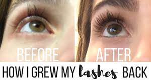 An even easier way to make your lashes grow is to take advantage of today's great eyelash growth serums. How I Grew My Eyelashes Back After Eyelash Extensions Youtube