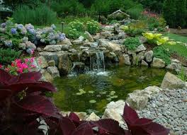 Self Sustaining Water Features
