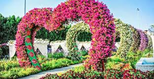 miracle garden dubai book tickets