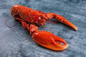 Whole Fresh Cornish Lobster | Cooked and ready to eat | Free Delivery | The  Cornish Fishmonger