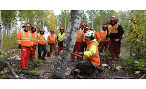 Certification is like the lottery, you can earn up to buy the ticket; Customized Arborist Training Courses Arborcanada