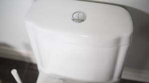 fix waterridge toilet draining non stop