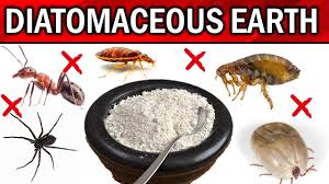 how to use diatomaceous earth for pest