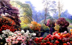 hd desktop wallpaper flower garden