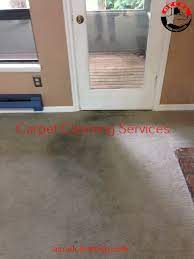 carpet cleaning kirkland wa 206 947