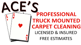 bremerton carpet cleaners by state