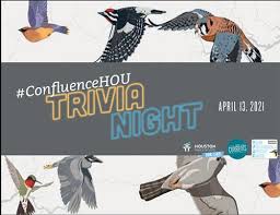 Neil's bahr, 8pm · tuesday: Event Calendar Houston Audubon Confluence Trivia Night