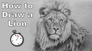 how to draw a lion in pencil