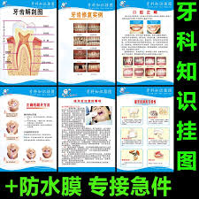 Usd 6 00 Dental Wall Chart Dental Knowledge Poster Dental