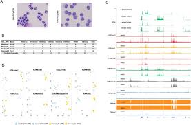 Comparative Analysis Of Neutrophil And Monocyte Epigenomes