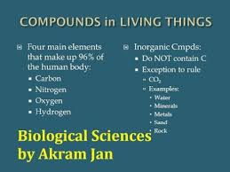 chemical composition of living things