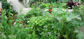 permaculture for small gardens