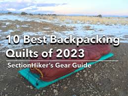 10 best backng quilts of 2023