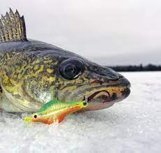 best walleye ice fishing lures of 2021
