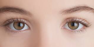 Image result for cara penjagaan mata yang betul
