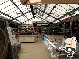frosts garden centre at willington in