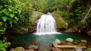 The site, comprised of eight protected areas. The Blue Mountains In Jamaica Everything You Need To Know